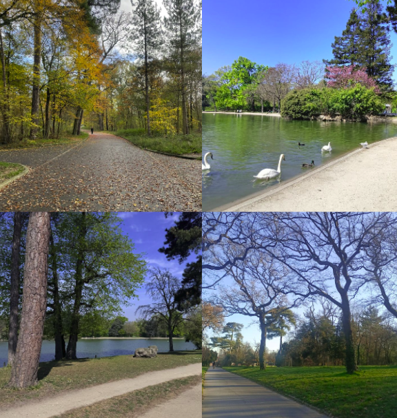 capture d’écran 2026 03 05 à 19.44.41